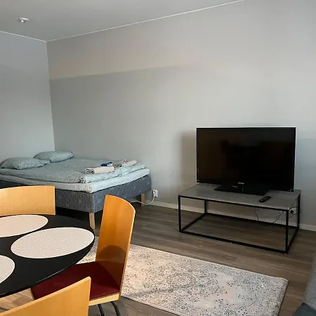 アパート Maentynaeaedaenkadun Yksioe